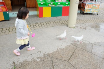 女孩在鸽子广场喂鸽子