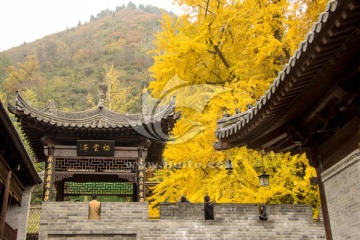 秦岭山下古观音禅寺