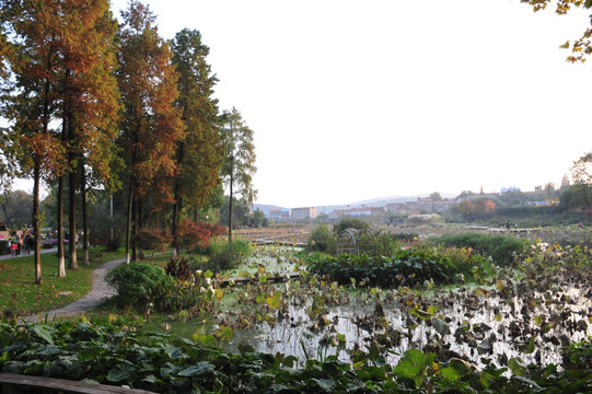 武汉植物园