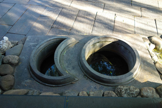 趵突泉