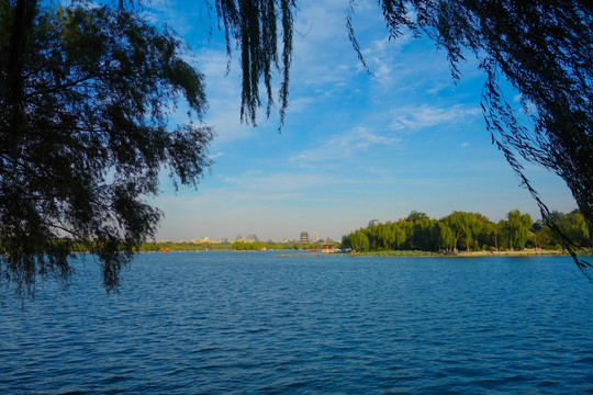 大明湖
