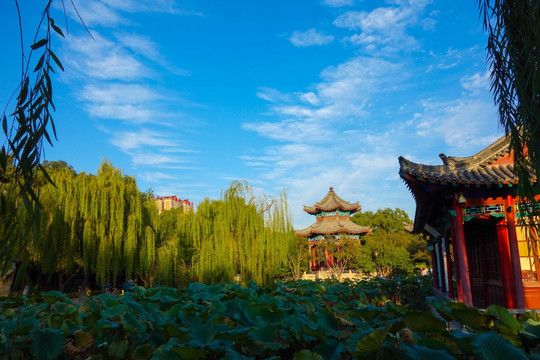 大明湖