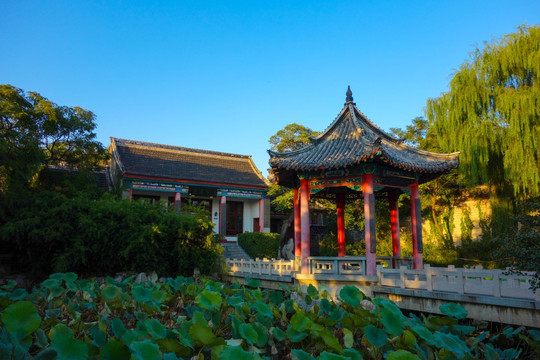 大明湖