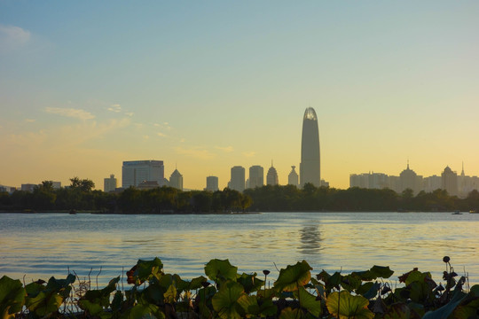 大明湖