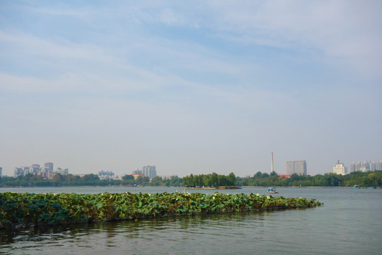 大明湖