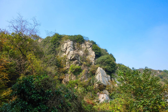 苏州大阳山森林公园