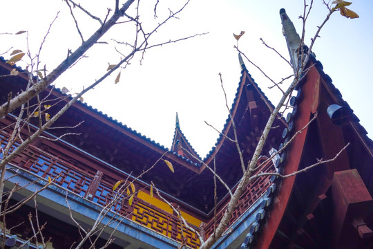 苏州大阳山森林公园