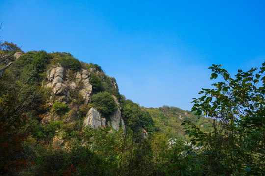 苏州大阳山森林公园