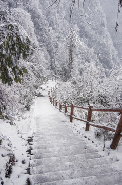 峨眉山雪景