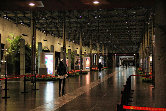 中国 国家大剧院