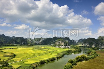 金秋田野