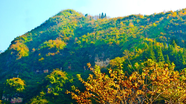 山峦 秋色