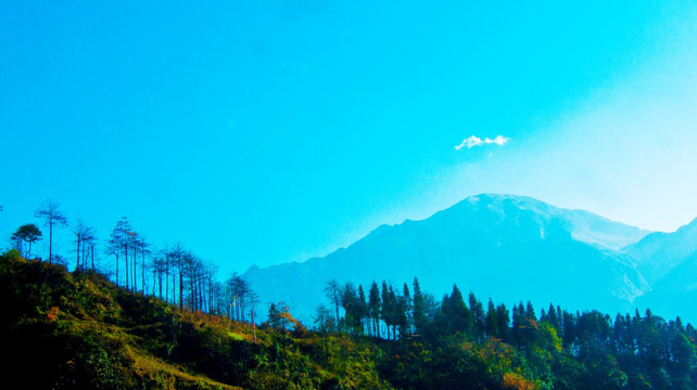 山岭 山区