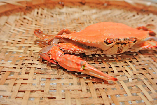 梭子蟹素材 高档海鲜 海产品