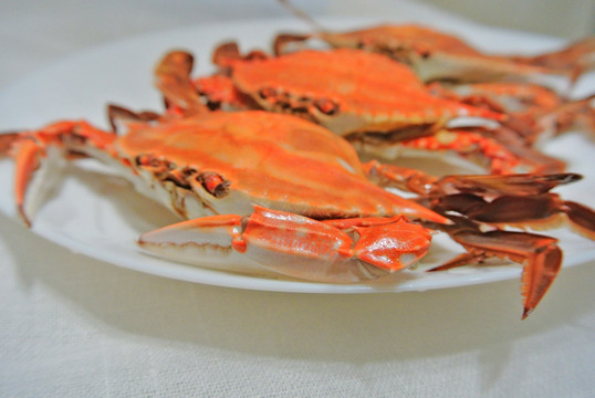 梭子蟹素材 高档海鲜 海产品