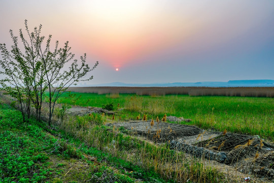 湿地夕阳