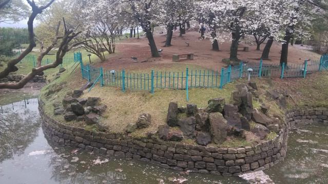 湖花园色彩静浪漫和谐生态环境丽