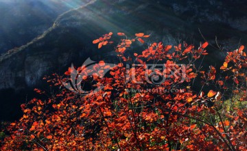 北京坡峰岭风景区