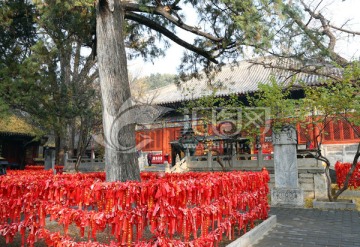 北京红螺寺