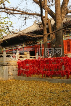 北京红螺寺