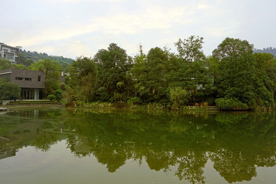 山林住宅小区 森林小区环境