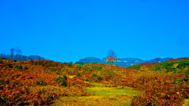 荒野 山区