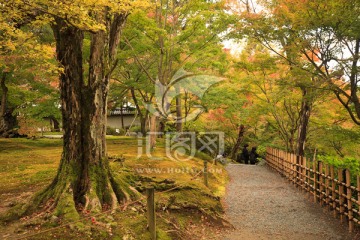 日本京都东福寺庭院