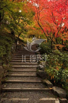 日本京都东福寺庭院