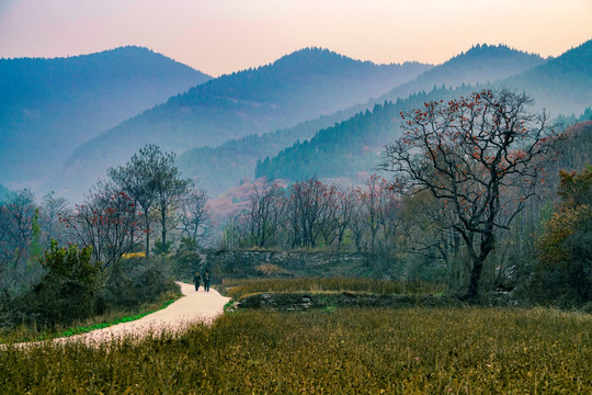 官护山风景