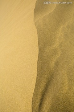 金沙 沙漠 塔克拉玛干大沙