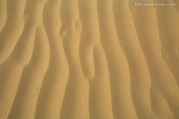 金沙 塔克拉玛干大沙漠