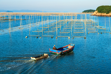 紫菜种植海域 渔船 紫菜养殖场