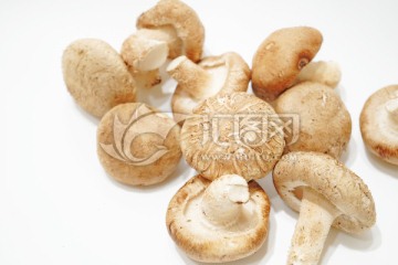 新鲜香菇素材 一堆香菇