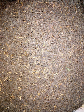 正山小种茶