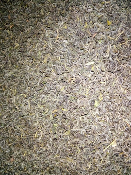 紫阳毛尖茶