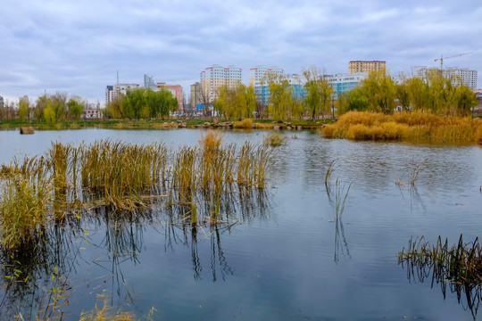 城市湿地