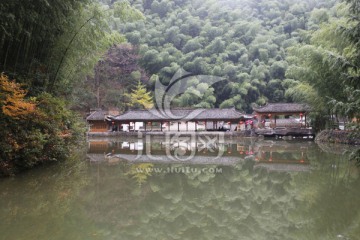 黄山木坑竹海景区