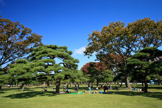 日本东京皇居外苑