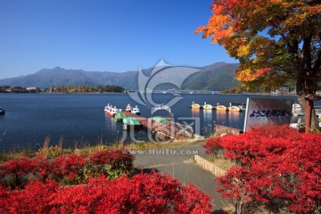 日本河口湖