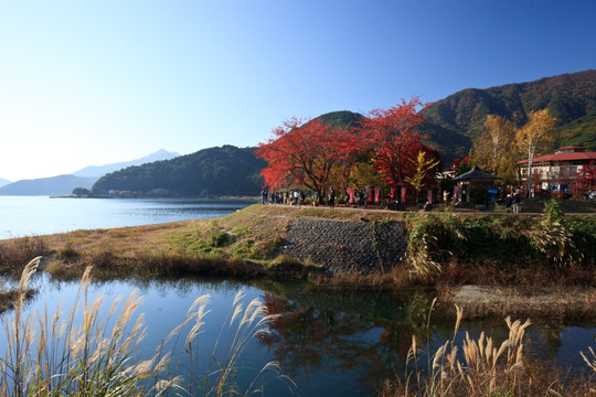 日本河口湖