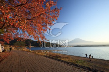 日本富士山