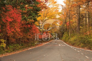 深秋道路