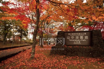 日本山中湖公园