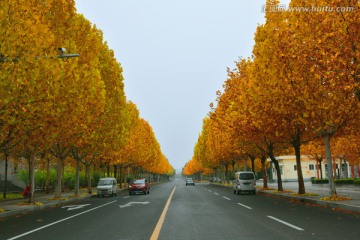 美丽乡村公路