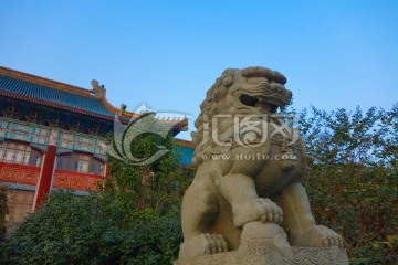 上海体育学院