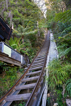 澳大利亚森林小火车轨道