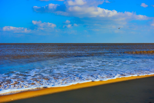 大海 海滩