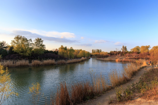 北京奥森公园人造湿地小河