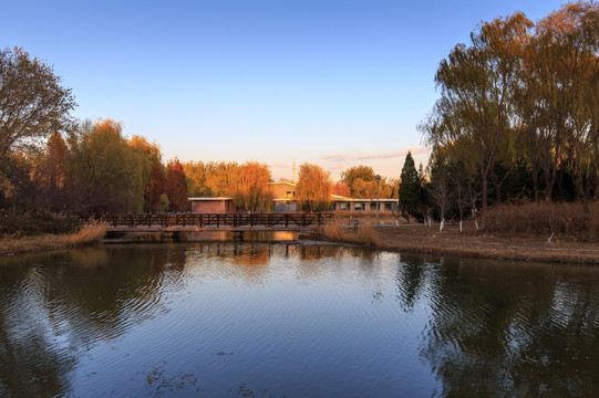 北京奥森公园人工湖小桥流水
