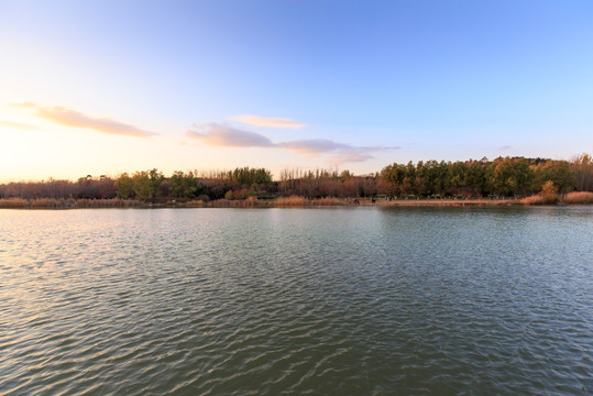 北京奥森公园人造湿地人工湖